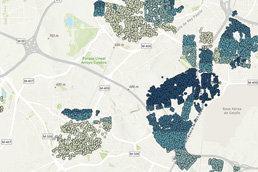 Segmentos de población